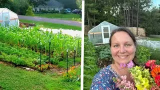 Suburban Front Yard —JULY Garden Tour
