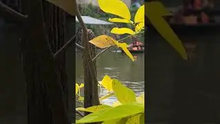 Family tour upputhara Kerala |sema enjoyment 🥳| KPM Fish Farm
