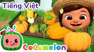 Món Hầm Rau Thu Hoạch | Bài hát dành cho trẻ em | CoComelon Lồng tiếng việt: Karaoke dành cho trẻ em