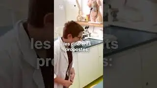 Escola Frederic Mistral-Tècnic Eulàlia (Tibidabo), et convidem a la festa d’escola 2024