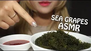 [쯔미 ASMR] 바다 포도 ASMR/Sea Grapes ASMR