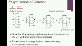 075-Cyclization of Sugars