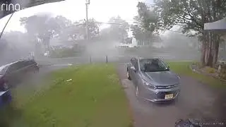 Lightning takes out tree