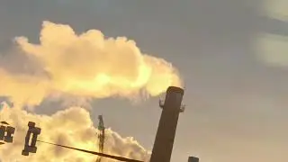 асфальтовый завод пожирает наш лес