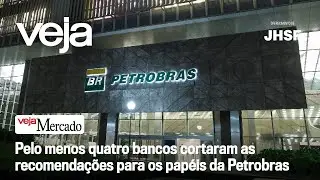 What to expect from Petrobras after a 10% drop and an interview with André Nunes