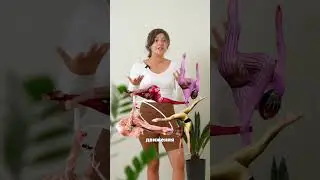 Прекращай тянуться, чтобы быть гибкой!