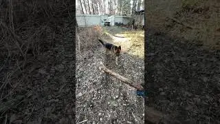 Атака 