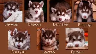 С Днем Рождения!