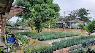 flood on 06/08/2022