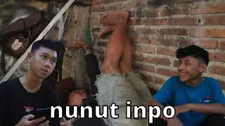 inpo pertempean