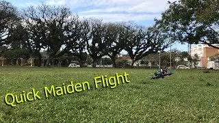 Maiden Flight - Martian 215 - T-Motor F60iii + DYS Aria 35A