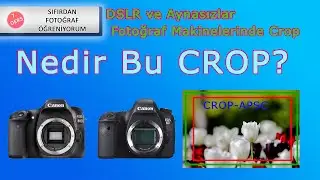 Fotoğraf Makinesinde Crop - Fotoğraf Öğreniyorum-Ders 7