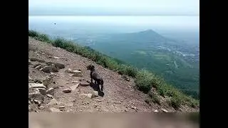 6 июня 2024 г.