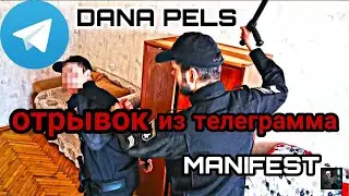 ●Отрывок из телеграмма [МАНИФЕСТ] ПОЛИЦЕЙСКИЙ АРЕСТОВАЛ ПОЛИЦЕЙСКОГО