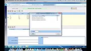 A SaaS System Written in PB/Appeon
