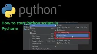 How to start a python script in PyCharm?