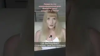 Правда ли, что низковибрационные души больше не смогут рождаться на Земле?
