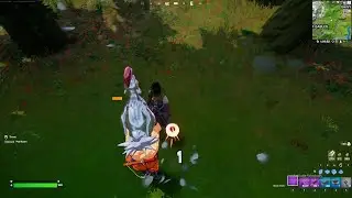 Deal damage with a chicken peck | Fortnite Avian Ambush