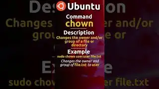 Chown command | Ubuntu Server #chown #ubuntuserver