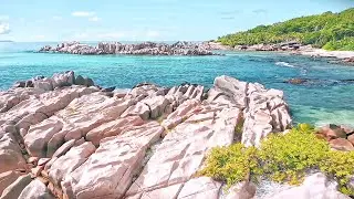 relaxing nature