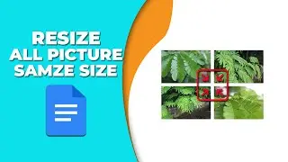 How to resize all pictures to the same size in Google Docs
