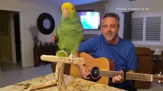SNN: Stuck at home, Tico's voice soars worldwide