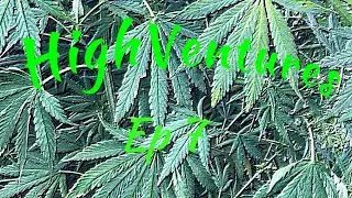 Disruption HighVentures Ep 7 #CREATIVETITLE