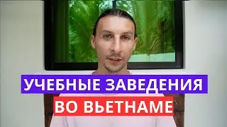 Где работать во Вьетнаме? 3 Типа учебных заведений