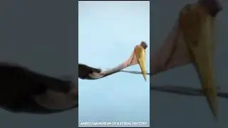 Нам повезло что эти птицы вымерли!
