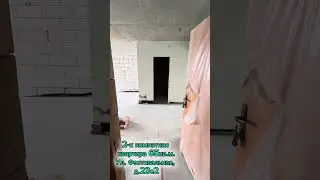 5 ноября 2024 г.
