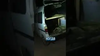 Мужик запихал в багажник 29 баранов