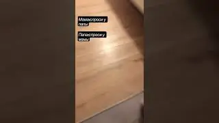 Пон