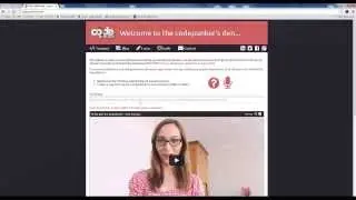 How to use the comand line Interface on CodePunker.com