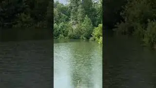 15lb BASS EATS MY WHOPPER PLOPPER!!!