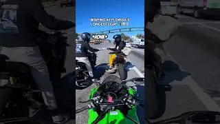 was the honk really necessary 