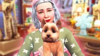 LA TIENDA DE ANTIGÜEDADES 👵 | ❄️ Misión Polo Norte ❄️
