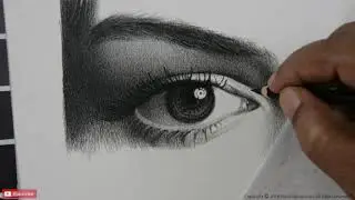 Hyper Realistic Sketch of an Eye | Realistic Eye Drawing | Pencil Perceptions