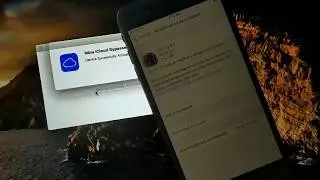 mina activator 2.0 full icloud bypass 3G/4G