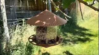 High Quality Bird Feeder