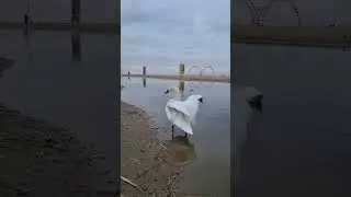 Анапа. Речка Анапка