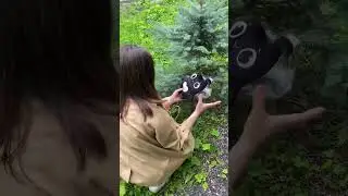 Собираем ТИММИ