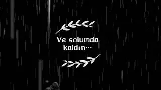 SEN GİTTİN...