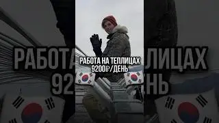 🇰🇷РАБОТА НА ТЕПЛИЦАХ В КОРЕЕ