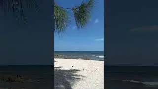 Beach Day in St. Lawrence Gap, Barbados