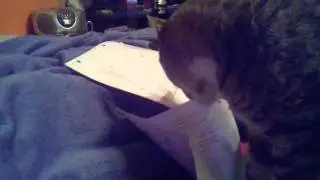 My cat ate my homework!