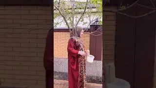 2020 Макка Межиева новинка