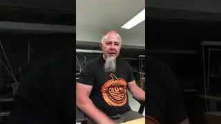 Snake eats itself.