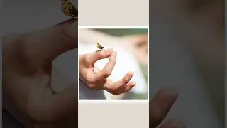 Медитация «Баланс»