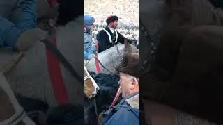 бузкаши росровут бахтовар бо аспи қд 05 02 23 🇹🇯🇺🇿🇰🇬🇰🇿👍