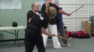 Martial arts Australian Seminar Vol 2 with GM Angelo